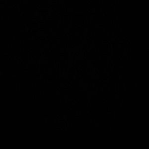 Meet your Posher, Gavin